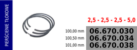 Pierścienie tłokowe kompresora  100,00 mm RVI - 5000793615